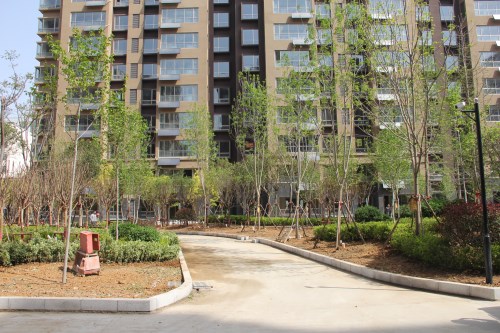 莱芜高新区热盘泰和嘉园实力见证,预计提前交房