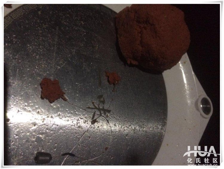 一味鲫有竿稍吗,一味鲫上鱼