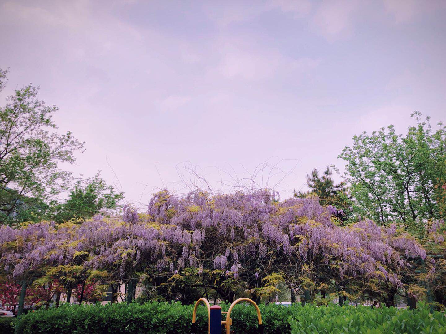 嗓子眼有异物感和粘痰怎么推拿,嗓子里有粘痰咳不出如何推拿缓解