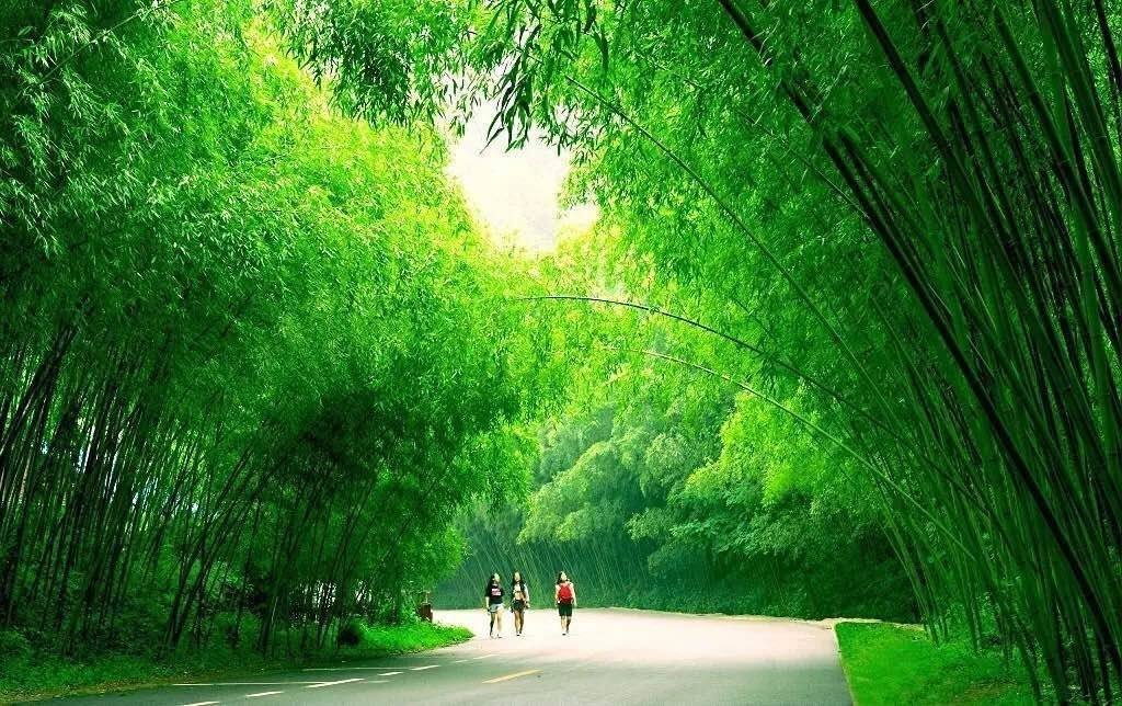 河南仅有一景区免门票,河南一景区