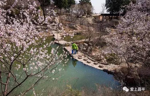五彩田园农业嘉年华半日游,最美春天旅游攻略