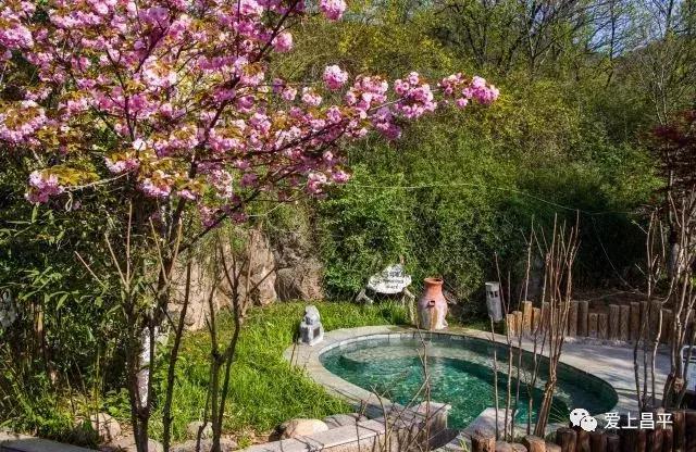 五彩田园农业嘉年华半日游,最美春天旅游攻略