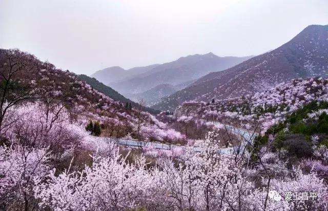 五彩田园农业嘉年华半日游,最美春天旅游攻略