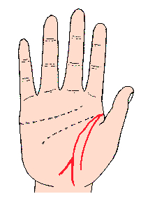 教你如何精准的看自己手相,自己对照图看自己的手相