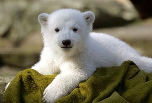 睡觉姿势有用的冷知识,一些冷知识有意思