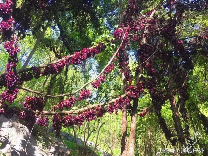 赤壁人在外打工现状,湖北赤壁人在浙江丽水打工