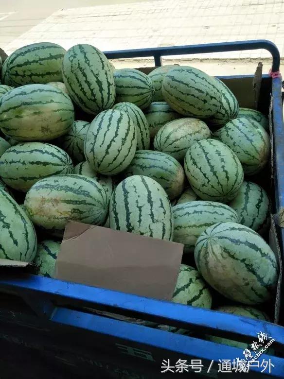 赤壁人在外打工现状,湖北赤壁人在浙江丽水打工