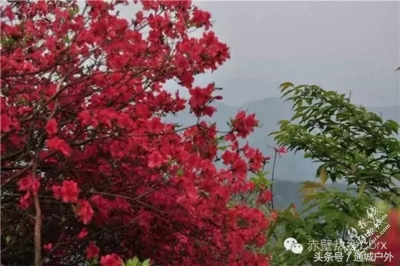 赤壁人在外打工现状,湖北赤壁人在浙江丽水打工