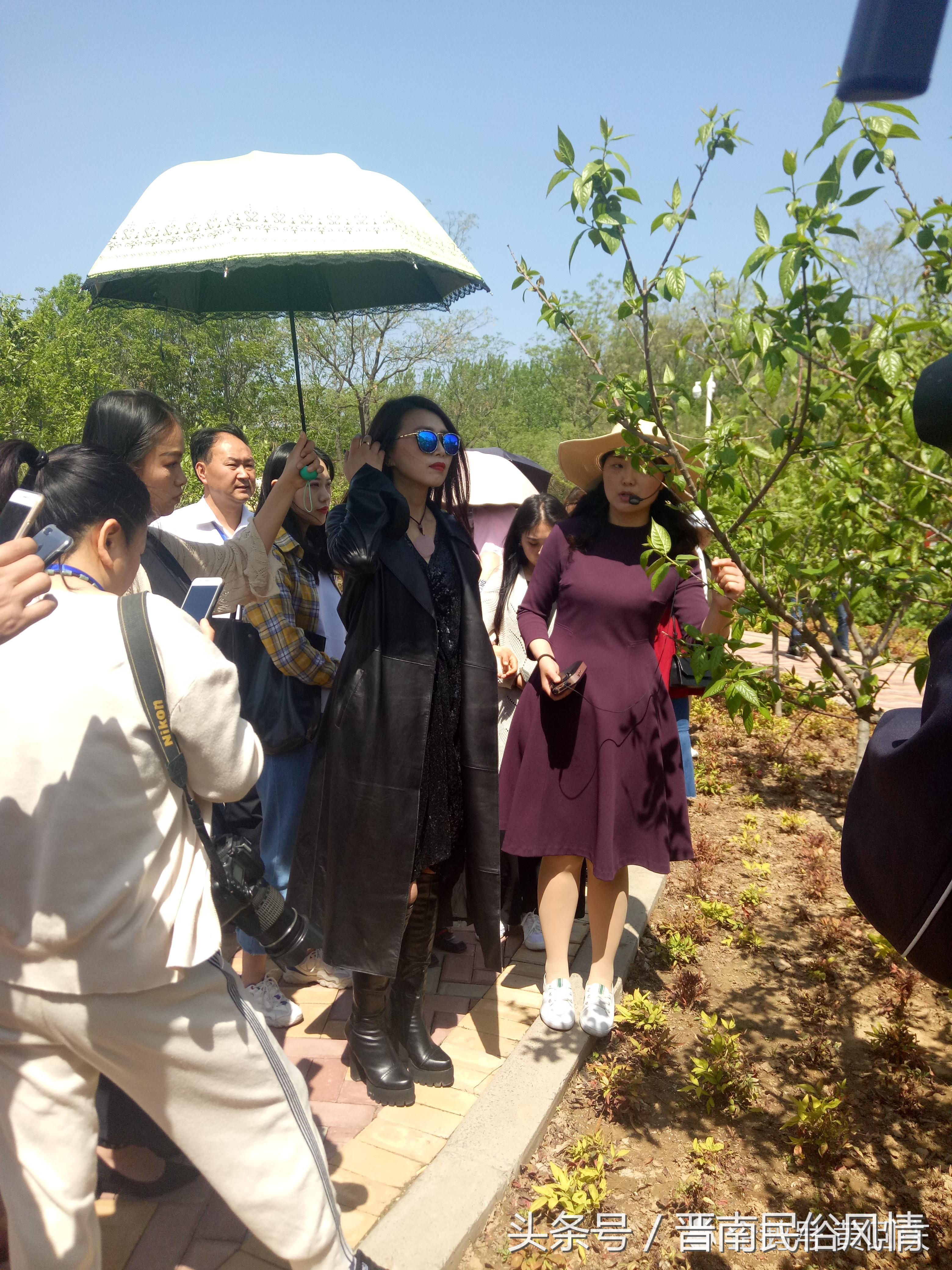 鄢陵花博园花卉节,许昌鄢陵花博园芍药节