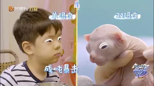 妈妈是超人3霍思燕去考试,妈妈是超人霍思燕当姥姥