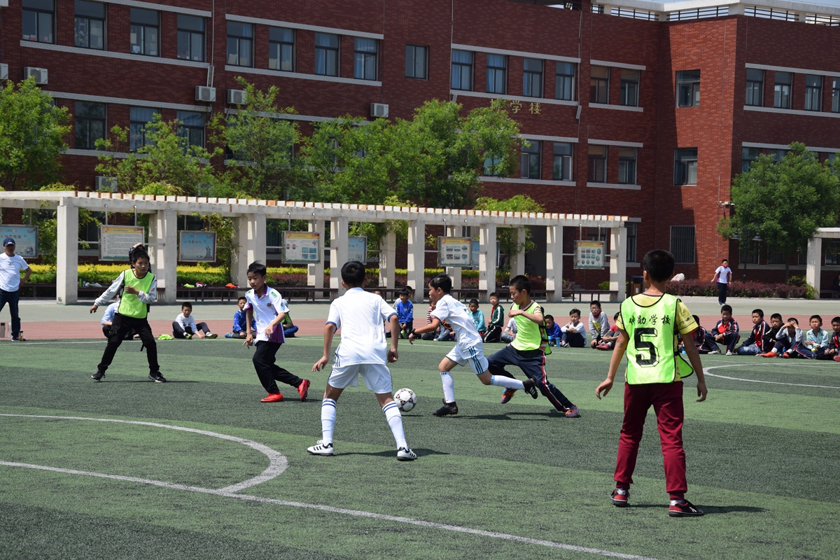 仲勋学校与龙岗学校小学部“手拉手”研学活动暨“大学区联盟”活动纪实