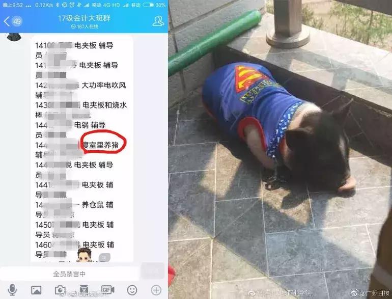 「三分钟法治新闻全知道」凄惨出访!非洲“友邦”仅剩俩,其中一国还让蔡英文吃了闭门羹……