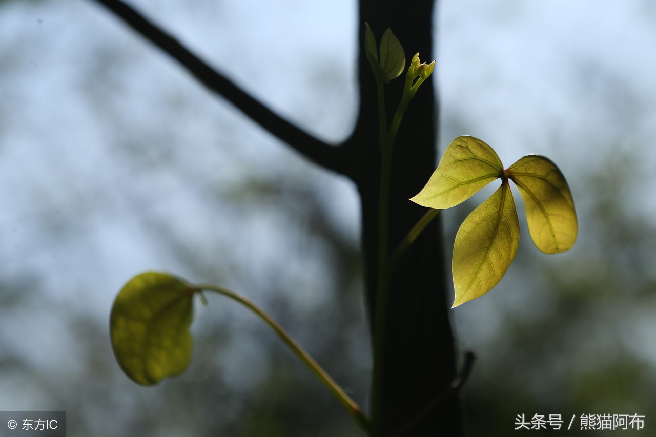 二十四节气谷雨古诗,二十四节气中的谷雨