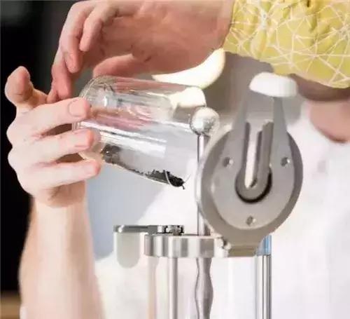 东方禅意茶空间,茶空间最新视频