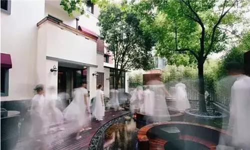 东方禅意茶空间,茶空间最新视频