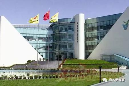 维维股份亏损多少钱,维维股份一季度业绩回落大跌原因