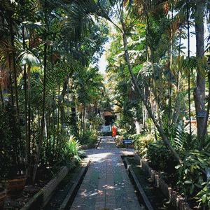 “我老豆被Gcup女的胸抽到脸肿！”千万不要带爸妈去泰国！