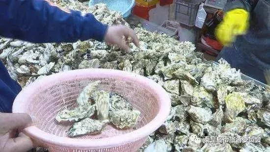 秦皇岛海鲜批发市场哪里最便宜,秦皇岛冬季海鲜去哪买最便宜