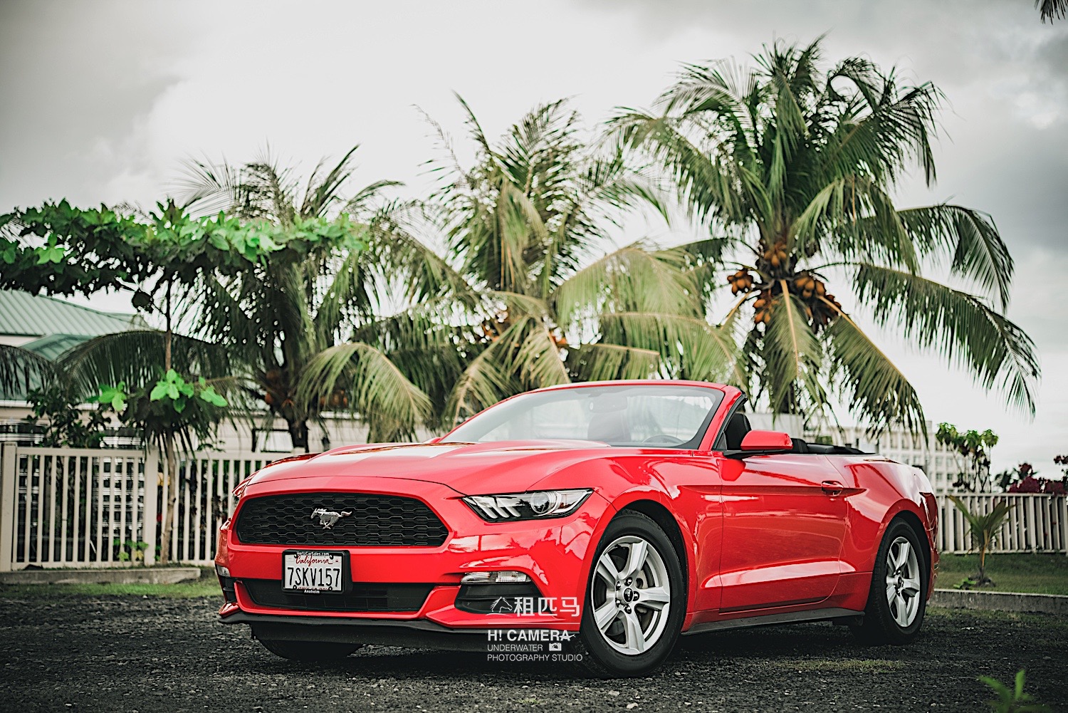 距离中国4小时的落地签海岛国家帕劳怎么玩?果冻的蓝色大海!