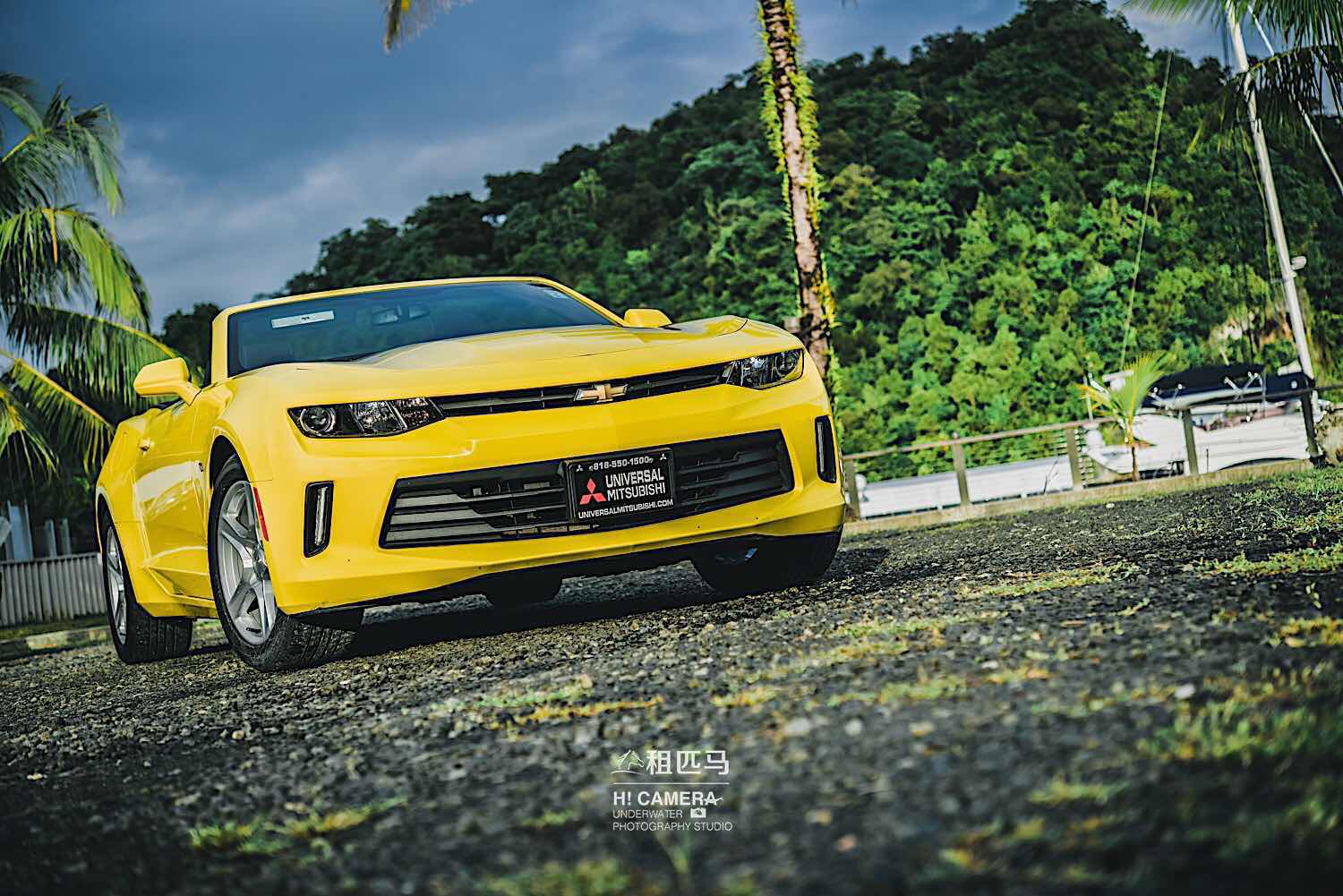 距离中国4小时的落地签海岛国家帕劳怎么玩?果冻的蓝色大海!