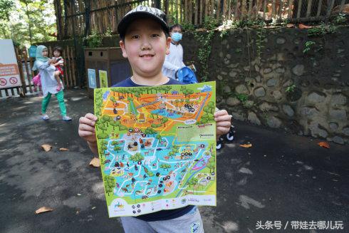 带孩子巴厘岛自由行游记攻略,带孩子去巴厘岛玩的心情