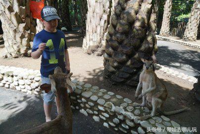 带孩子巴厘岛自由行游记攻略,带孩子去巴厘岛玩的心情