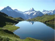 photoshop快速排版图片,photoshop修色入门推荐