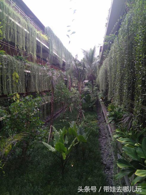 带孩子巴厘岛自由行游记攻略,带孩子去巴厘岛玩的心情