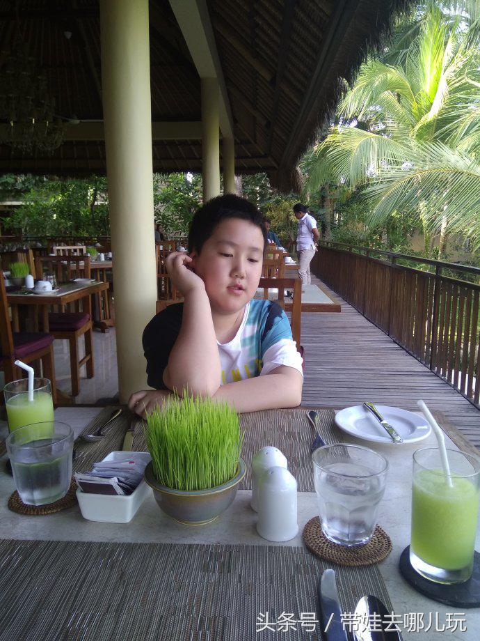 带孩子巴厘岛自由行游记攻略,带孩子去巴厘岛玩的心情