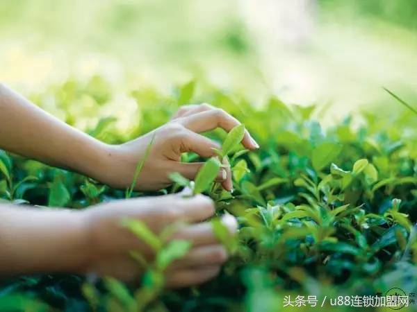 与u8一起拼搏的日子,与u8同行