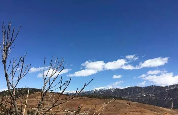 皓添金融,皓添金融稳健发展