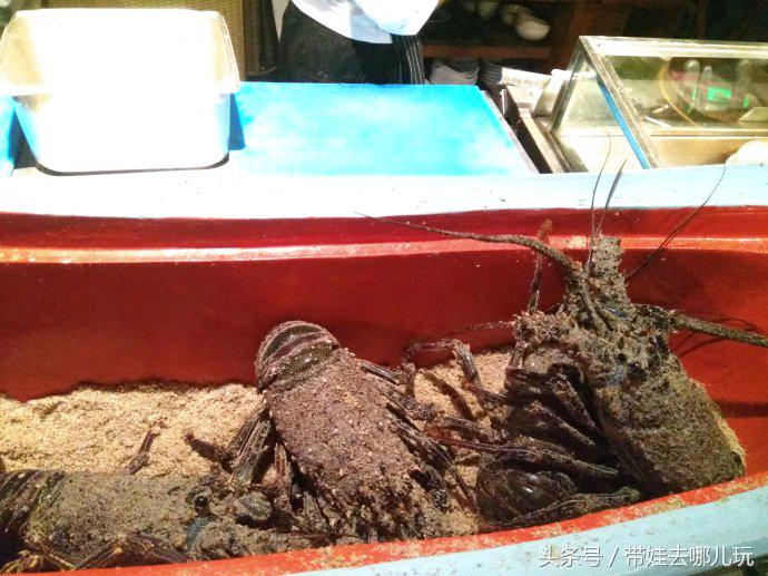 带孩子巴厘岛自由行游记攻略,带孩子去巴厘岛玩的心情