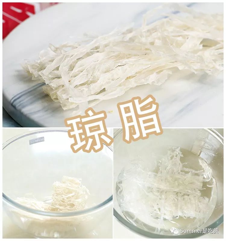 寻燕日记之关于燕窝的一些见解(二)