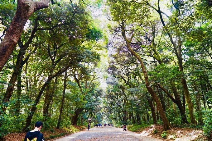 妯辫姳瀛ｅ幓鏃ユ湰涓滀含鏃呮父,涓滀含涓ゅぉ鏆磋蛋涔嬫梾