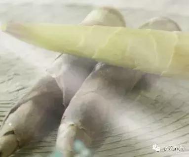 春季食疗养生食谱有哪些,春季养生食疗