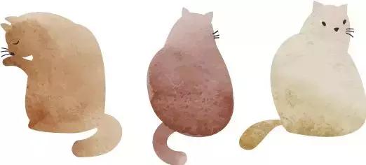 生肖配对上等婚,生肖合婚最佳属相搭配表