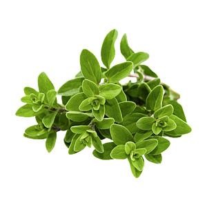 对于一心一意想要传染感冒给你的人，该怎么办？