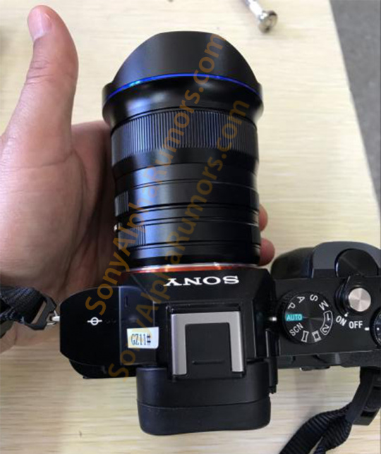 尼康佳能全画幅中中端旗舰机,佳能6d和尼康哪一款可以对比