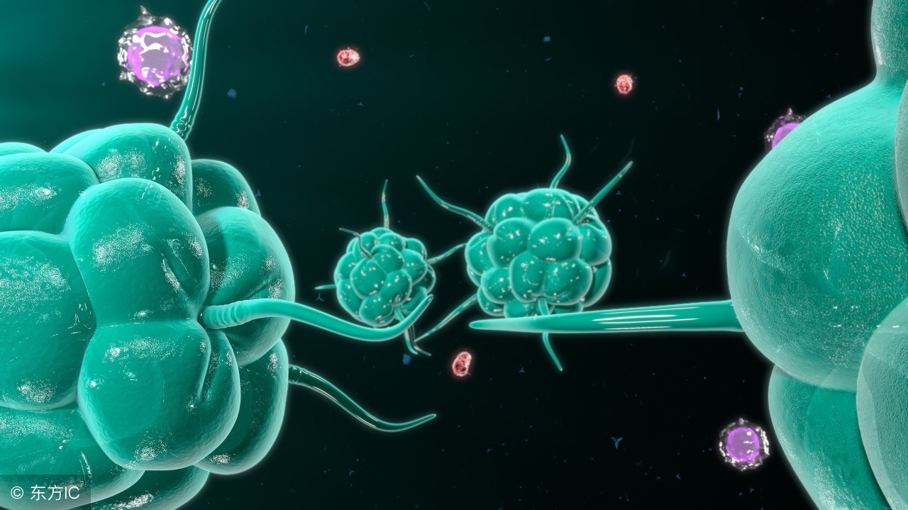 杜玉堂：我用余生攻克它——“不死的癌症”