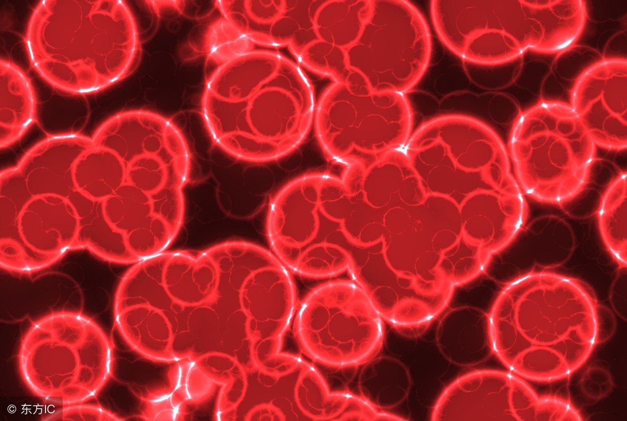 杜玉堂：我用余生攻克它——“不死的癌症”