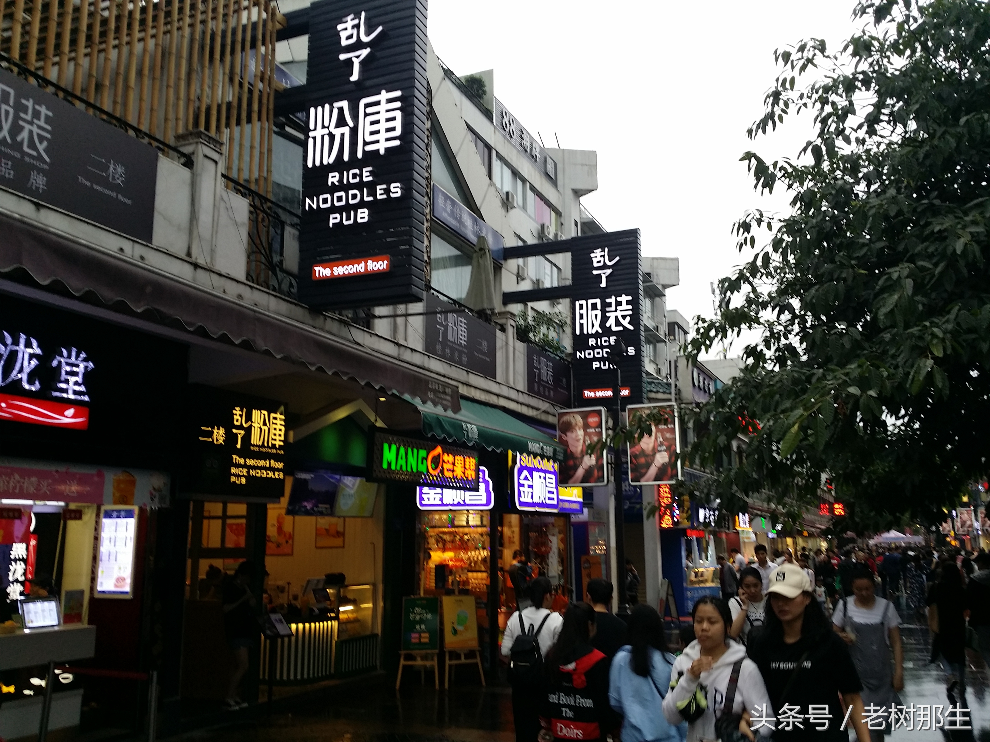 雨中桂林怎么玩,雨中游桂林