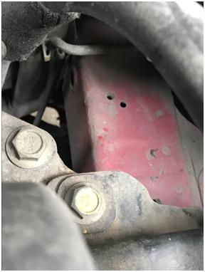 怎么识别老车雨燕好不好,雨燕检测