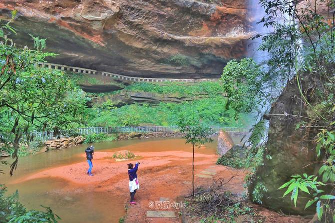 踏春去哪儿,沐川竹海好玩的地方有哪些