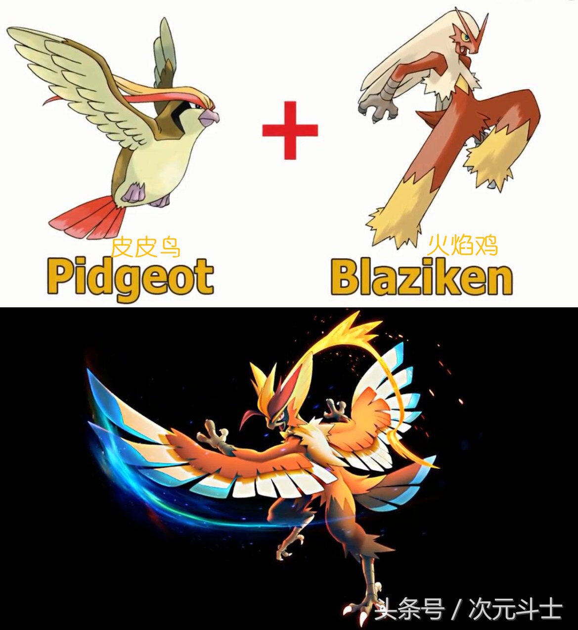 神奇宝贝超进化火焰鸡,神奇宝贝火稚鸡进化