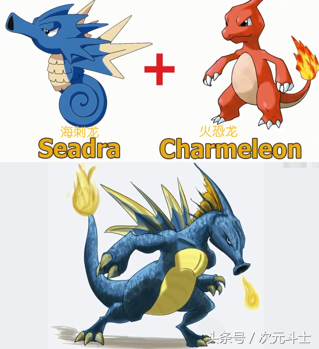 神奇宝贝超进化火焰鸡,神奇宝贝火稚鸡进化