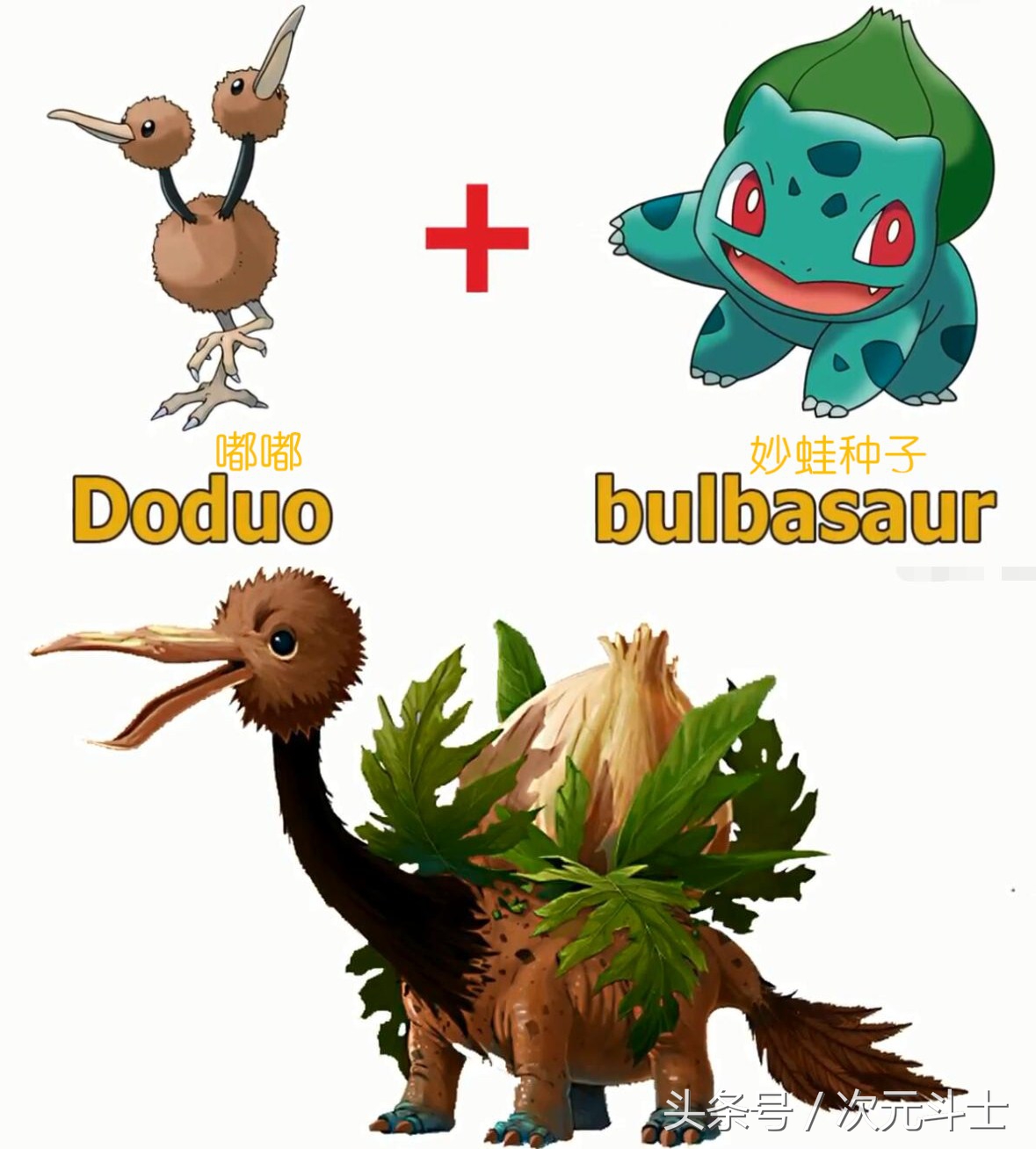 神奇宝贝超进化火焰鸡,神奇宝贝火稚鸡进化