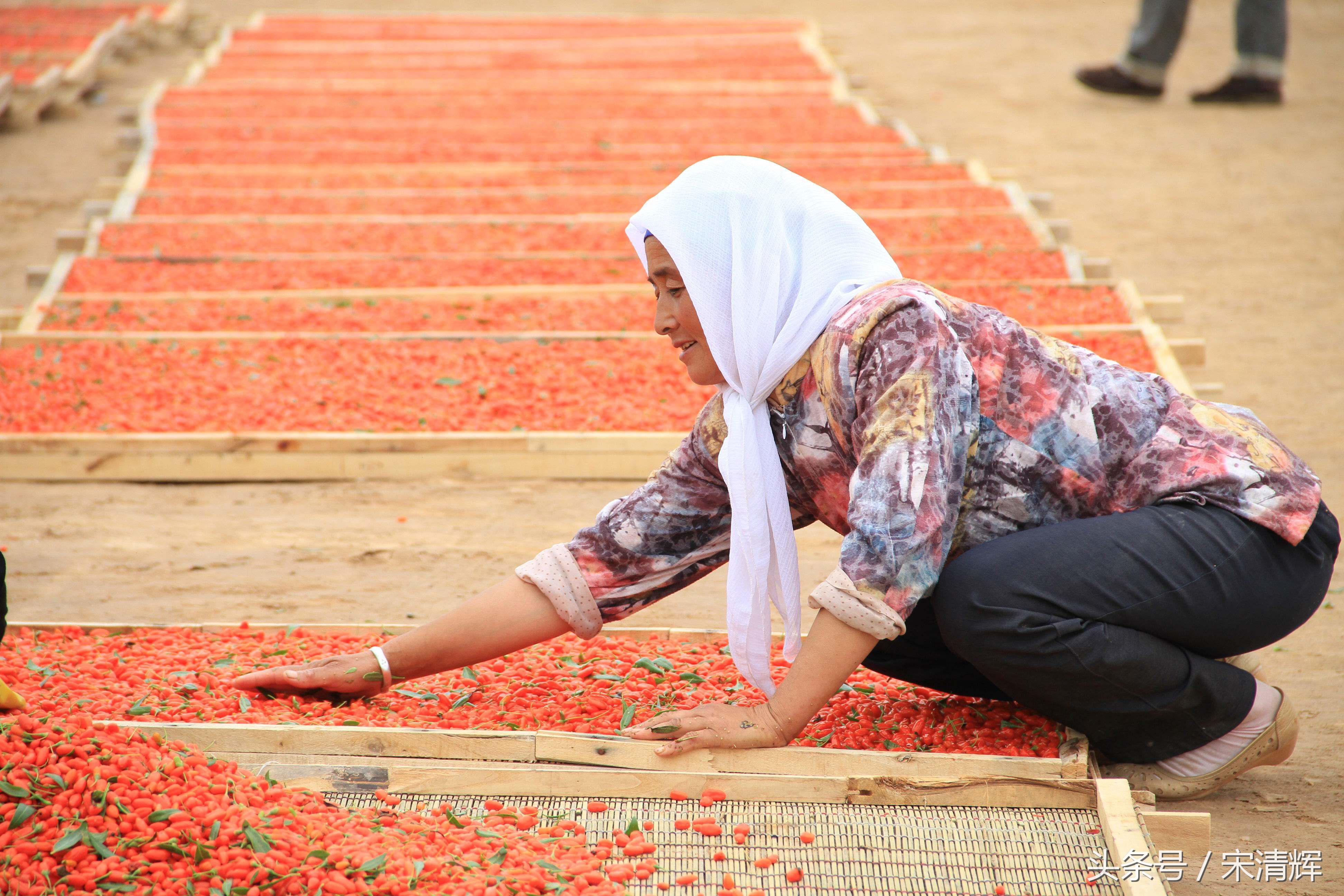 普惠金融如何获客,宋清辉普惠金融分析