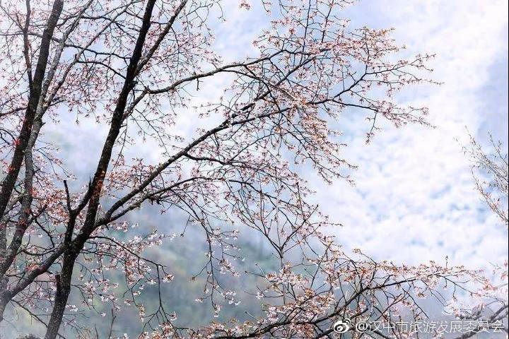 镇巴，你的世界我们来过，自然而然的美到心里