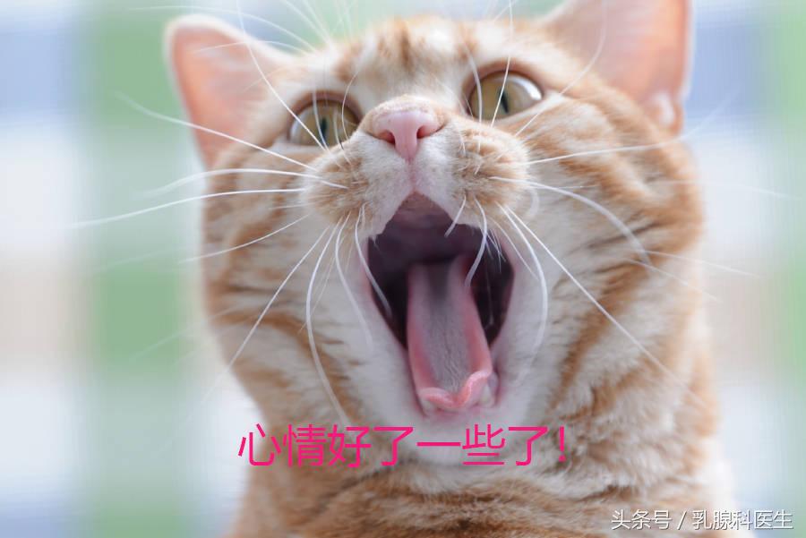 乳腺增生、乳腺炎、乳腺癌会发生在男人身上吗？