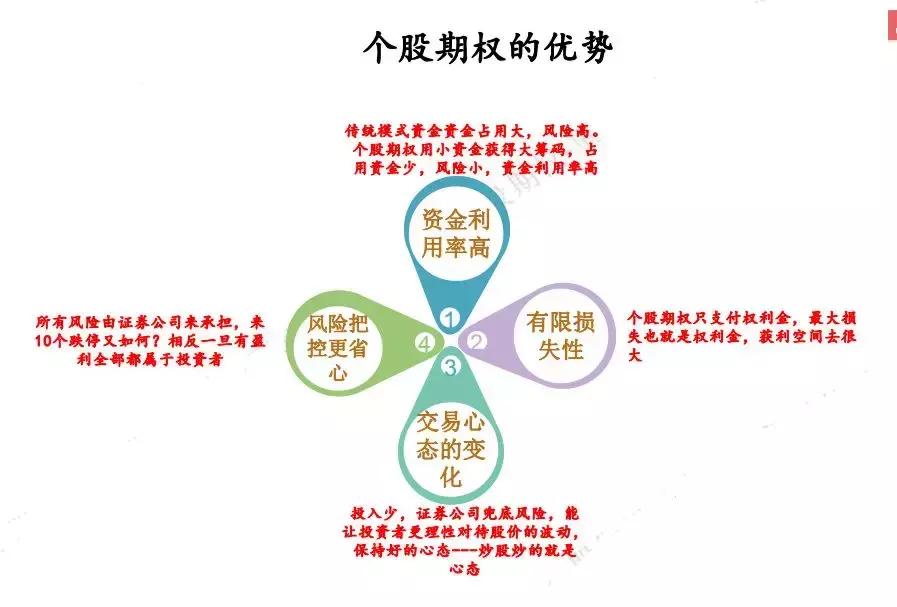 什么叫个股期权解读,个股期权真的赚钱吗